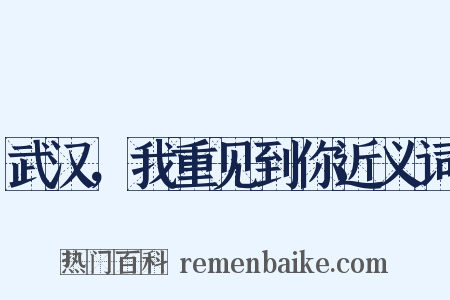 武汉，我重见到你近义词是什么意思的图片